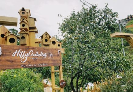 244544450_203780708527481_3915340372710004930_n